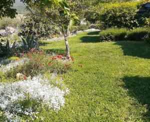 The Gallipoli Houses