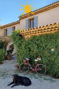 Maisons d'hotes Suite avec jardin entre Aix en Provence, Luberon et Verdon : photos des chambres