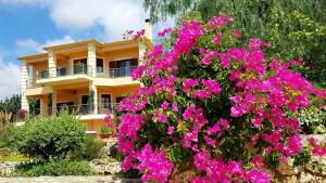 Villa Omega Kefalonia