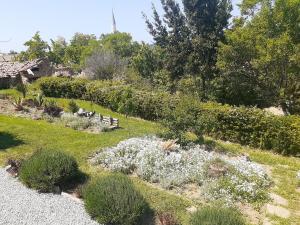 The Gallipoli Houses