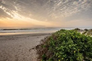 Unwind@167- Golden Mile - Stompneusbaai