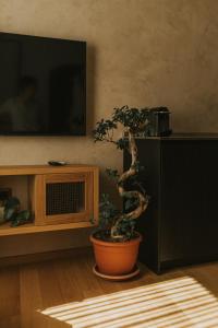 CAVE Design Apartment Pula