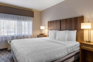 King Room with Wetbar - Non-Smoking room in Best Western North Phoenix Hotel