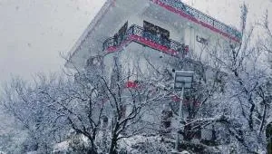 Orchid Homestay - Chail