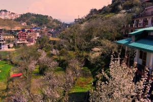 Orchid Homestay