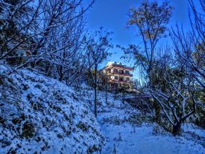 Orchid Homestay