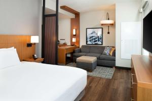 Standard King Room with Sofa Bed room in Hyatt Place Dallas/Rockwall