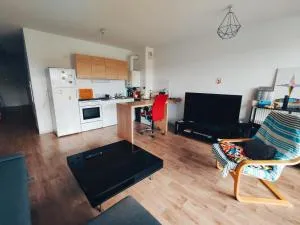 T2 Bis avec Terrasse vue Montagne proche mer, commerces et Biarritz - 阿尔伯尼