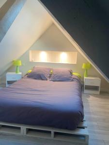 Appartements Appartement charmant - Ferel - 60 m² - Terrasse privative : photos des chambres