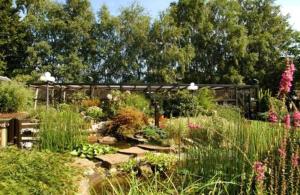 Hostellerie Au Vieux Hetre