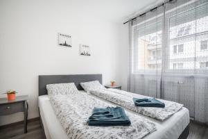 Cosy Home close to the center with PARKING GARAGE