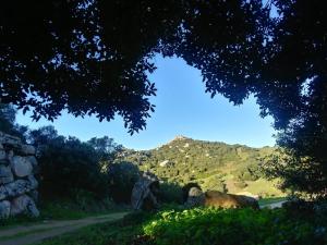 Stazzu Lu Signori img24