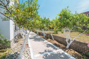 Mirage Arillas Apartment C