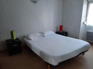 Appartements Le Petit Michelet : photos des chambres