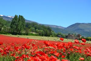 Maisons de vacances Casa adosada con piscina y maravillosas vistas : photos des chambres