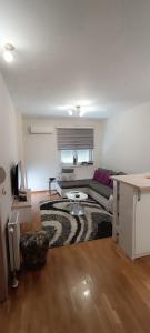 Yasmin Apartment (Pozega in Serbia)