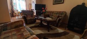 Authentic village house Virpazar