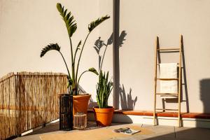 BENI - 1 bedroom apartment with pool and terrace in Gracia