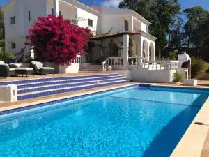 Casa Zimbreira - Cotifo de Cima