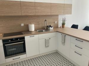 Rakowicka Modern Apartment