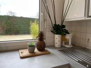 Appartements Lebraz 2 : photos des chambres