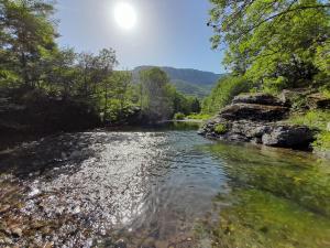 Chalets Mon chalet au coeur des Cevennes : photos des chambres