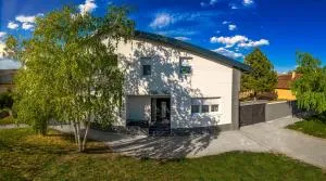 Villa Ana Bački Petrovac - 巴奇基彼得罗瓦茨