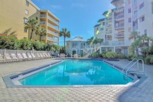 Beach Palms 508
