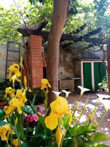 Nossa Casa na Aldeia