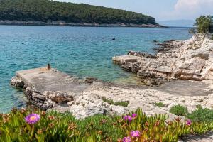 Seaside Holiday Home Vinka