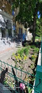 Aparthouse Orlov most Sofia