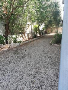 Gli ulivi -Appartamento al centro