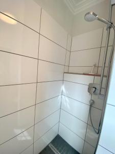 1027- Alte Da h me - Neu