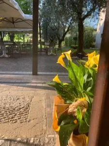 Rustico di Benellini Angela - بولبينازي ديل جاردا