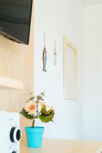 Agriturismo b&b Mares e Montes de Marrante img57