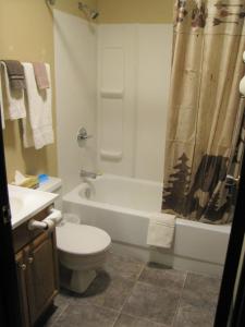Bear Country Inn and Suites