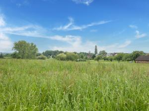 Maisons de vacances Vibrant Holiday Home in Sainte Trie with Private Pool : photos des chambres