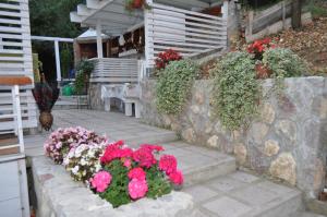 Studio Apartmani PERGOLO Centar