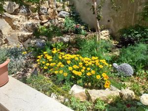 Vigo Apartments Croatia