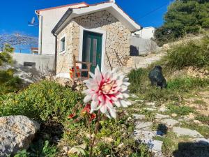 Vigo Apartments Croatia