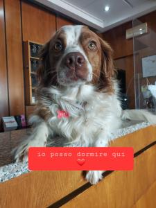 Montebello Park Hotel