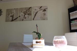 Appartamento Bellini