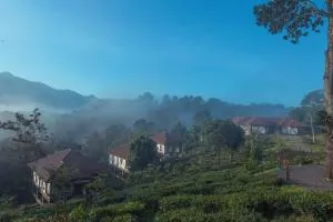 Jeevess Retreat - Pinangode