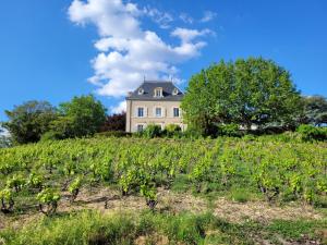 Maisons de vacances Chateau des Vierres : photos des chambres