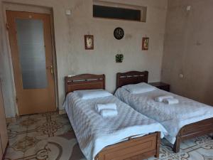 Green House In Vazisubani