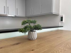 Solàrium con terraza a 5 minutos de la playa