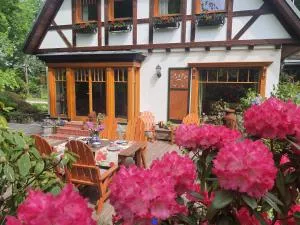 Za Siódmą Górą - Zachełmie