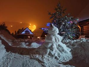 Domek Góralski nad Czorsztynem - Kluszkowce