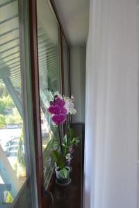 Tomy Silver Mountain Valley