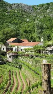 Country House Dajkovic - Dupilo
